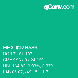 Color code: HEX #07B589 | qconv.com