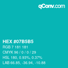 Color code: HEX #07B5B5 | qconv.com