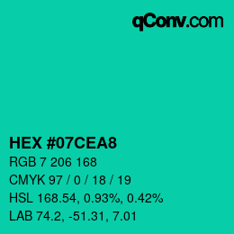 Color code: HEX #07CEA8 | qconv.com