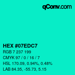 Color code: HEX #07EDC7 | qconv.com