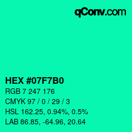 Color code: HEX #07F7B0 | qconv.com