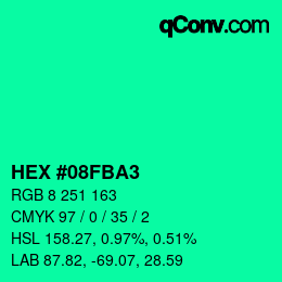 カラーコード: HEX #08FBA3 | qconv.com