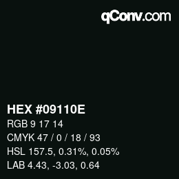 颜色代码: HEX #09110E | qconv.com