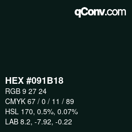 颜色代码: HEX #091B18 | qconv.com