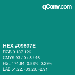 Color code: HEX #09897E | qconv.com