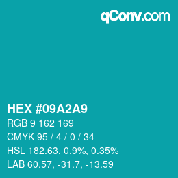 Color code: HEX #09A2A9 | qconv.com