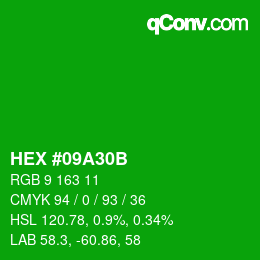 Color code: HEX #09A30B | qconv.com