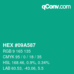 Color code: HEX #09A587 | qconv.com