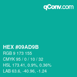 Color code: HEX #09AD9B | qconv.com