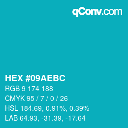 カラーコード: HEX #09AEBC | qconv.com