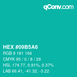 Color code: HEX #09B5A6 | qconv.com
