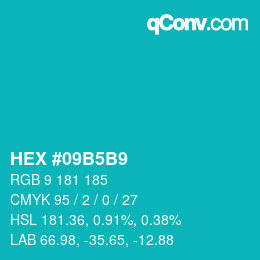 Color code: HEX #09B5B9 | qconv.com