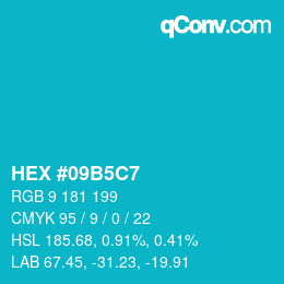 Color code: HEX #09B5C7 | qconv.com