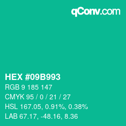 Color code: HEX #09B993 | qconv.com