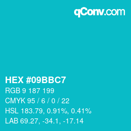 Color code: HEX #09BBC7 | qconv.com