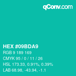 Color code: HEX #09BDA9 | qconv.com