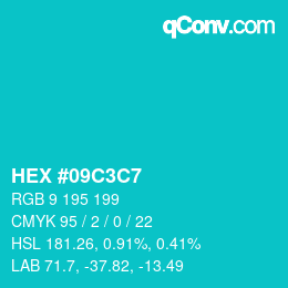 Color code: HEX #09C3C7 | qconv.com
