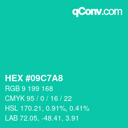 Color code: HEX #09C7A8 | qconv.com