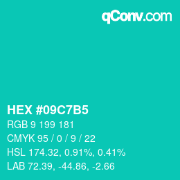 Color code: HEX #09C7B5 | qconv.com