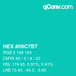 Color code: HEX #09C7B7 | qconv.com