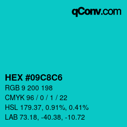 Color code: HEX #09C8C6 | qconv.com