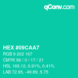 Color code: HEX #09CAA7 | qconv.com
