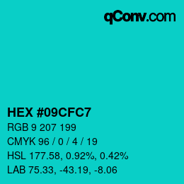 Color code: HEX #09CFC7 | qconv.com