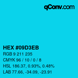 Color code: HEX #09D3EB | qconv.com