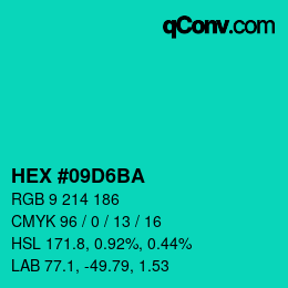 Color code: HEX #09D6BA | qconv.com