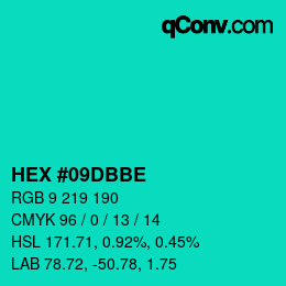カラーコード: HEX #09DBBE | qconv.com