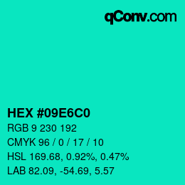カラーコード: HEX #09E6C0 | qconv.com