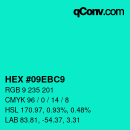 Color code: HEX #09EBC9 | qconv.com