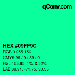 Color code: HEX #09FF9C | qconv.com