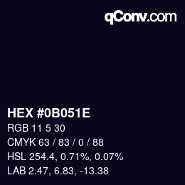 Color code: HEX #0B051E | qconv.com