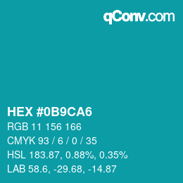 Color code: HEX #0B9CA6 | qconv.com