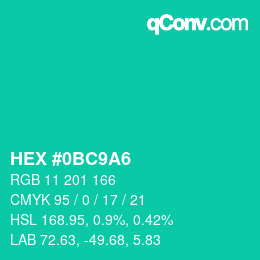 Color code: HEX #0BC9A6 | qconv.com