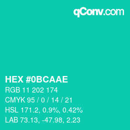 Color code: HEX #0BCAAE | qconv.com