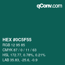 Color code: HEX #0C5F55 | qconv.com