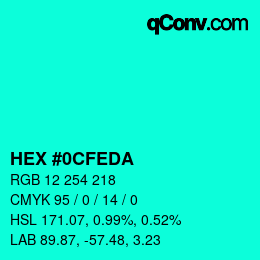 Color code: HEX #0CFEDA | qconv.com
