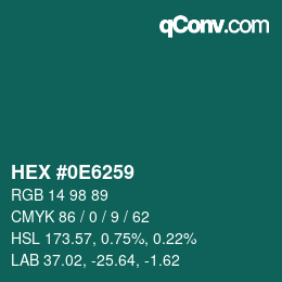 Color code: HEX #0E6259 | qconv.com
