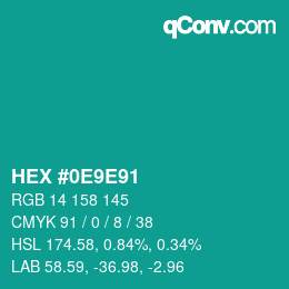 Color code: HEX #0E9E91 | qconv.com