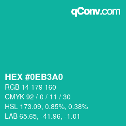 Color code: HEX #0EB3A0 | qconv.com