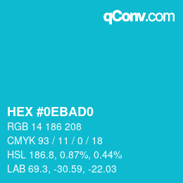 Color code: HEX #0EBAD0 | qconv.com