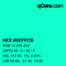 Color code: HEX #0EFFCB | qconv.com