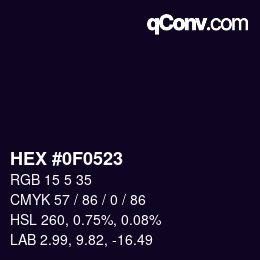 Color code: HEX #0F0523 | qconv.com