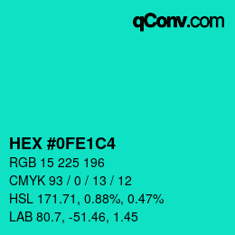 Color code: HEX #0FE1C4 | qconv.com