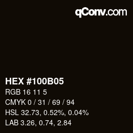 颜色代码: HEX #100B05 | qconv.com