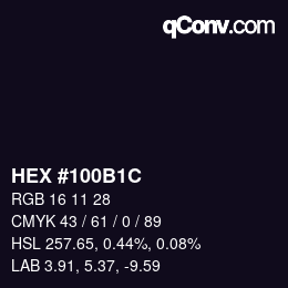 Color code: HEX #100B1C | qconv.com