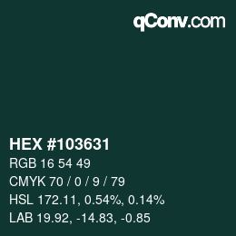 Color code: HEX #103631 | qconv.com