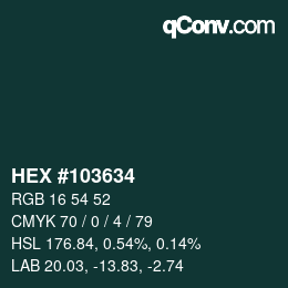 Color code: HEX #103634 | qconv.com